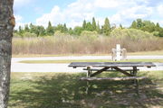 At the back of campsite #24, looking towards campground road - Ground cover is green and brown grass, with patches of grey soil.  Partial shade is provided by small oak trees.  Picnic table, electric hookup and water spigot are visible in the center of photo.