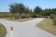 View of campsite #25 from site entry â This is a back-in campsite, with an asphalt pad for camping units.  On the right of the asphalt pad is the electric hookup and water spigot, surrounded by a protective wooden enclosure.  On the left are a circular ground grill and a picnic table.  Green and brown foliage lines the back edge the campsite.
