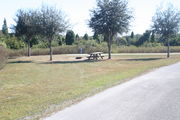 From the side of campsite #25 - Ground is scattered with green and brown grass, limited shade is provided by small oak trees.  Picnic table and circular ground grill are visible in center of photo.