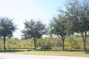 Looking at campsite #26 from opposite side of road â Ground cover is green and brown grass.  Small oak trees providing sparse shade near the back of site.  In center of photo are a picnic table and circular ground grill.