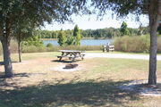 Looking at campsite #27 from opposite side of road â Ground cover is green and brown grass, with patches of grey soil.  Small oak trees provide sparse shade along side of site.  In the background is a view of Lake Alafia.