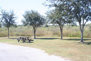 Looking at campsite #28 from opposite side of road â Ground cover is green and brown grass.  Small oak trees providing sparse shade near the back of site.  On the left side of the photo are a picnic table and a circular ground grill.
