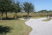 Looking at campsite #30 from site exit â Ground cover is green and brown grass, with patches of grey soil.  Small oak trees providing sporadic shade near the back of site.