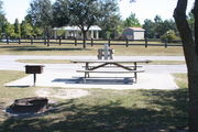 At the back of campsite #30, looking towards campground road - Ground is scattered with green and brown grass, with patches of grey soil.  Partial shade is provided by a small oak tree.  12â x 20â concrete pad with picnic table is visible in center of photo.