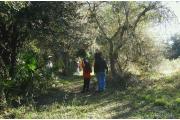 A family observes animals and plants while walking the Hammock Nature Trail. The trail meanders through a subtropical hardwood hammock, wetlands, and the edge of a prairie.