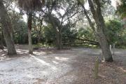 Campsite 1 has a narrow pad due to the number of trees in the site.