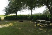 A picnic table positioned under a medium sized oak allows a shaded view of the brilliant prairie beyond a palmetto hedge.