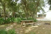 A picnic table and fire ring is tucked behind a palmetto hedge. The bathhouse is across the road and less than 30 feet from the campsite.