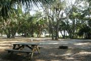 The picnic table and fire ring are nestled close to the hammock towards the rear of the campsite.