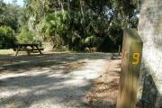 Campsite 9 is a sunny spot with minimal shade.