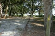 Campsite 10 is shaded by many medium and large oak trees.