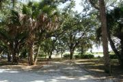 The vehicle pad and entrance is wide for campsite 10. Oak trees provide shade. Kilpatrick Prairie can be seen towards the rear of the campsite.