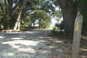 Campsite 12 is surrounded by large oak trees that provide adequate shade.