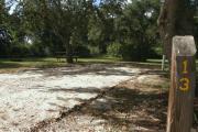 Campsite 13 provides a sunny spot with a few medium oak trees providing a touch of shade.