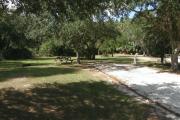 Campsite 13 has a wide vehicle pad and entrance.  A few medium oak trees are close to the pad.