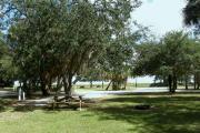 A picnic table sets under an oak tree surrounded by green lawn grass.
