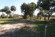 Campsite 22 has a wide vehicle pad and entrance. A depression marsh lies behind the campsite.  Bay trees have been impacted in this area due to an invasive species.