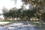 Campsite 23 has a wide vehicle pad and entrance. A depression marsh lies towards the rear of the site. Deer and turkey regularly cross through this site.