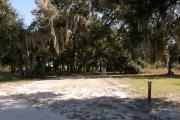 Campsite 24 has a wide vehicle pad and entrance. Spanish moss drapes over the medium sized live oak trees. Deer and turkey regularly cross through this site.