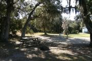 From the shade laden picnic table, deer and turkey are readily seen. Bay trees that have been impacted by an invasive species are also visible.