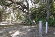 Several large oak trees provide adequate shade for the entire campsite.