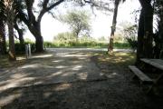 From the shaded picnic table, the horse paddocks can be seen beyond the traffic circle island.