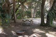 Numerous cabbage palms erupt around the shaded picnic table and fire ring.