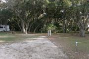 The rear of campsite 30 has oak limbs that stretch towards the sky. The vehicular pad is unobstructed.