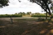 From the shaded picnic table, the horse paddocks are visible through the traffic circle island.