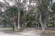 Campsite 31 has a narrow vehicle entrance due to the number of oak trees in the campsite.