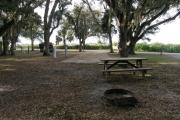 From the picnic table and fire ring, the horse paddocks can be seen through the traffic pattern island.