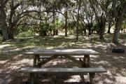 Oak branches spread out above the picnic table and fire ring.