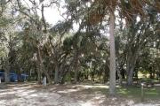 Campsite 32 is shaded with live oak trees and has an entrance with a wide clearance.