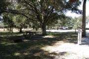 Beyond the shaded picnic table and fire ring are 2 trails to explore this unique ecosystem. Deer and turkey are usually seen browsing in the wet prairie behind the campsite.