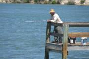 A fisherman is relaxing and fishing at the end of the L-Dock along the blue waters of the inlet.  The north side of the park in is the background.