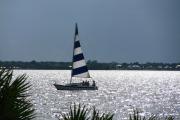 Four people enjoying sailing the lagoon on a beautiful blue and white sailboat with the sun sparkling off the water and a few houses and trees along the mainland.