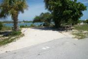 The back has a view of the inlet. The front is open to the street. There is a gravel drive in the center of the site. A palm tree is on the left. The right side of it has a small street that runs next to it. A picnic table sits on the right under a large tree.