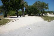 The back has a large cedar, palm trees, and gumbo-limbos behind it.  The front is open to the street. There is a gravel drive in the center of the site. A picnic table is at the back of the site.