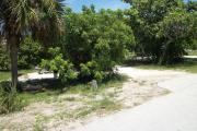 The front is open to the street and the back faces a street. There is a gravel drive in the center of the site. There are trees surrounding the site. There is a picnic table and a fire ring on the left.