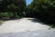 The front of is open to the street. The back is densely packed with foliage.