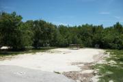 The front is open to the street. The back has abundant native plants. There is a gravel drive in the center of the site. The left side has a picnic table with a fire ring behind it next to several large trees.