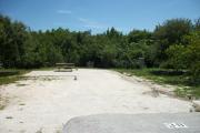 The front is open to the street. The back has abundant native plants. There is a gravel drive in the center of the site. The right side has an open grassy area interspersed with trees. A picnic table with a fire ring behind it is on the left.