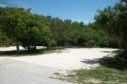 The front is open to the street. The back is filled with foliage. There is a gravel drive in the center of the site. Trees surround the site. A picnic table next to a fire ring is on the left.