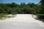 The front is open to the street. The back has a variety of native plants. There is a gravel drive in the center of the site. A picnic table is on the left.