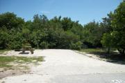 The front is open to the street. The back has a variety of native plants. There is a gravel drive in the center of the site. A picnic table is on the left.