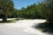 The front is open to the street. The back is filled with greenery. There is a gravel drive in the center of the site. There is a palm, a picnic table, and a fire ring on the left. Trees are on the right.
