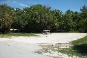 The front is open to the street. The back is packed with foliage. There is a gravel drive in the center of the site.  There is a picnic table with a fire ring behind next to trees on the left.
