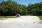 The front is open to the street. The back is packed with foliage. There is a gravel drive in the center of the site. The left side has a picnic table and a row of cedars, sea grapes, and palms.