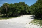 The front of is open to the street. The back is densely packed with foliage.  There is a gravel drive in the center of the site. A picnic table under a large tree is on the left. Trees surround the site.