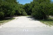 The front of is open to the street. The back is densely packed with foliage. There is a gravel drive in the center of the site.  A picnic table shaded by a large tree is on the left. Trees surround the site.